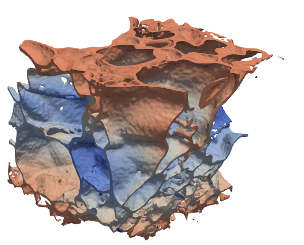 Computed displacement field on a scanned foam sample, colored from low to high displacement